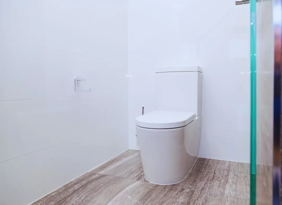 Remplacement de wc Gennes-Val-de-Loire